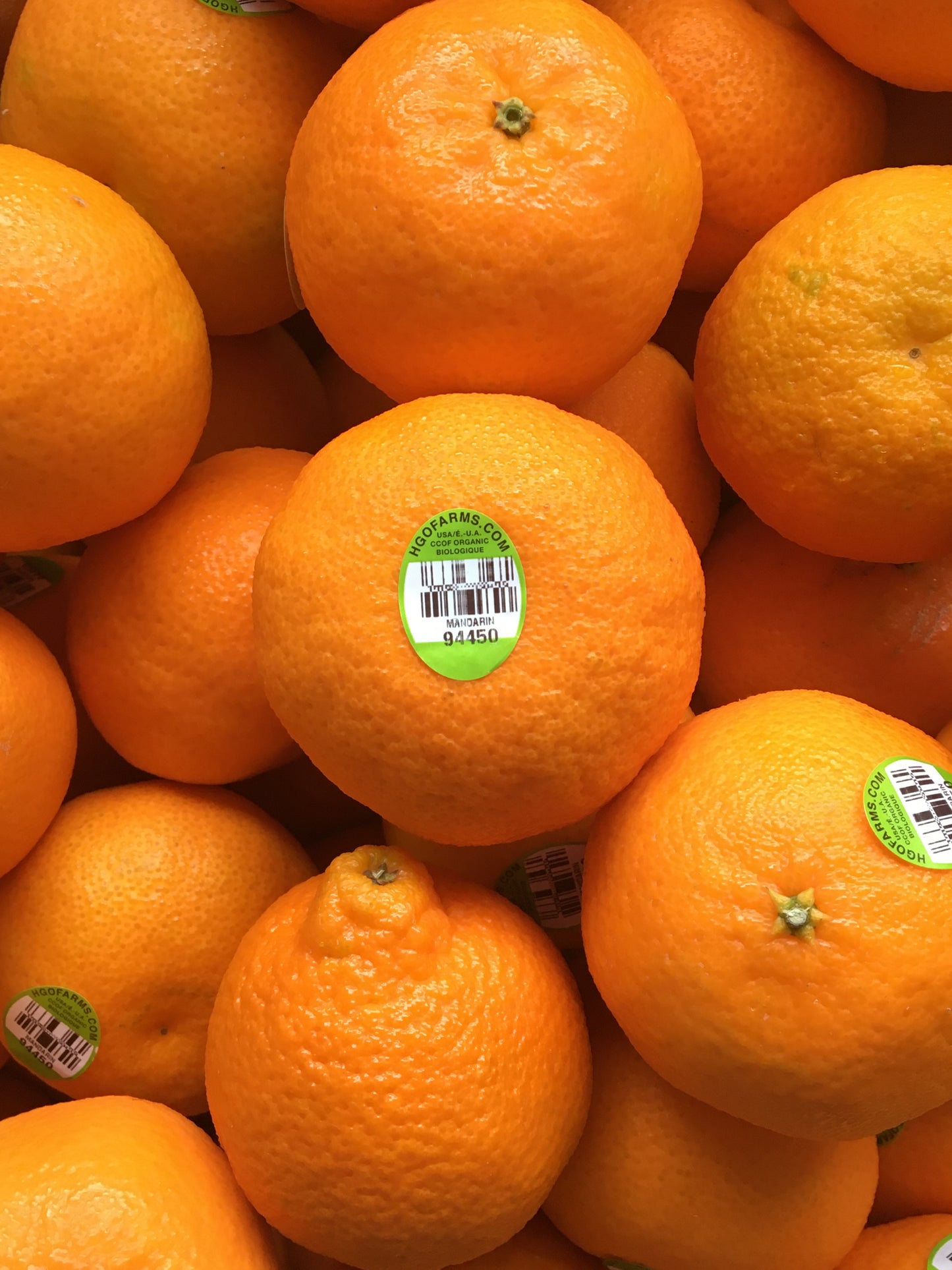 Organic Dried Tangerine Slices