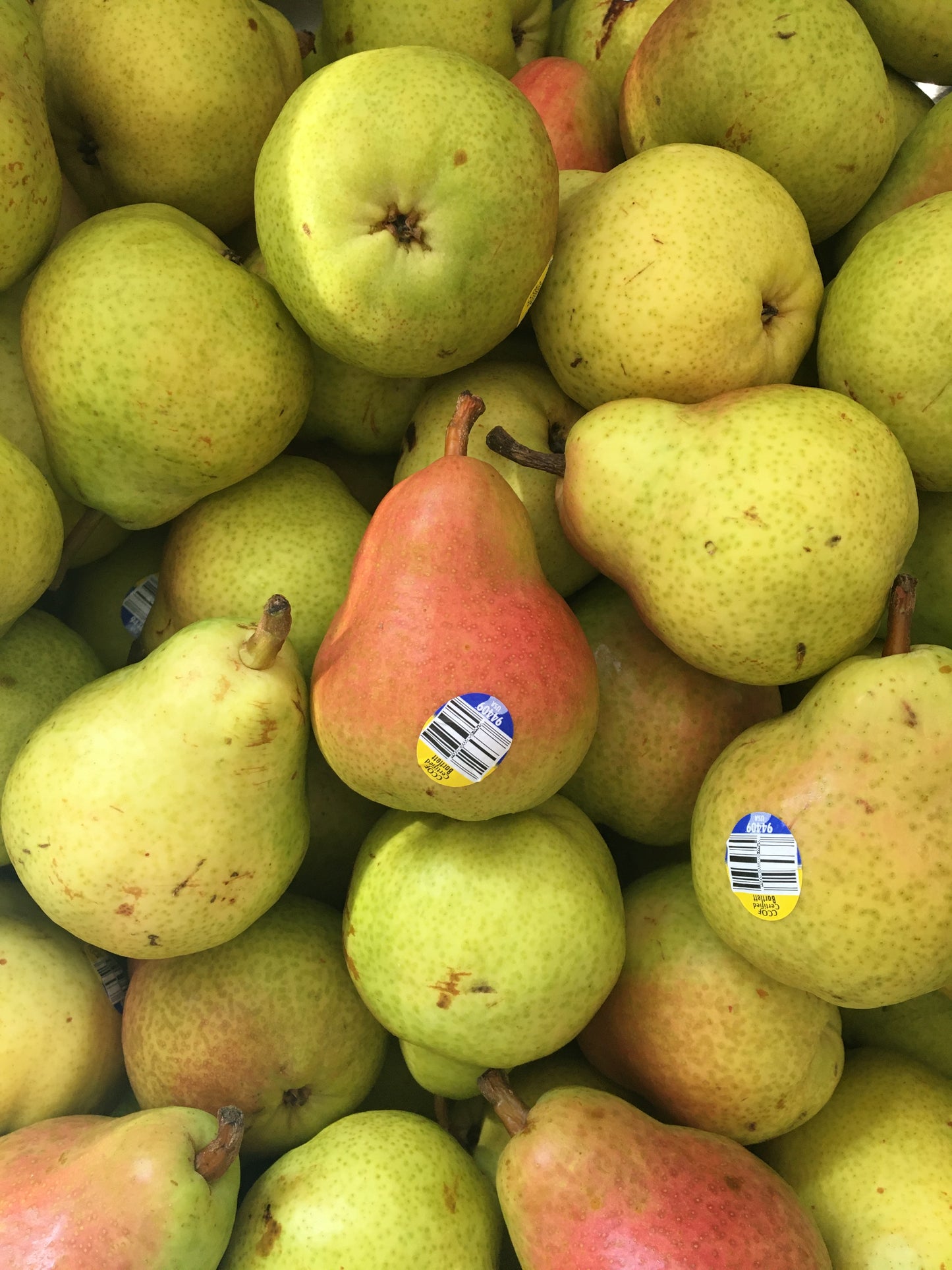 Organic Dried Pear Slices