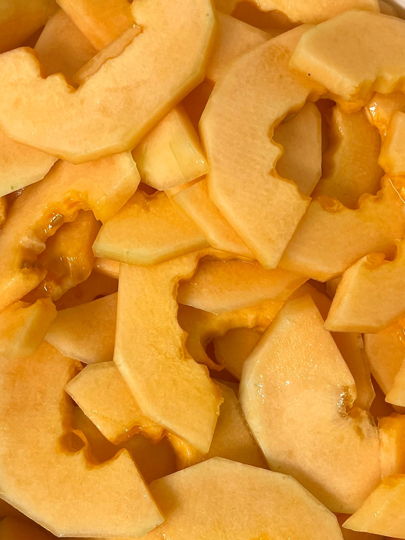 Dried Cantaloupe Slices