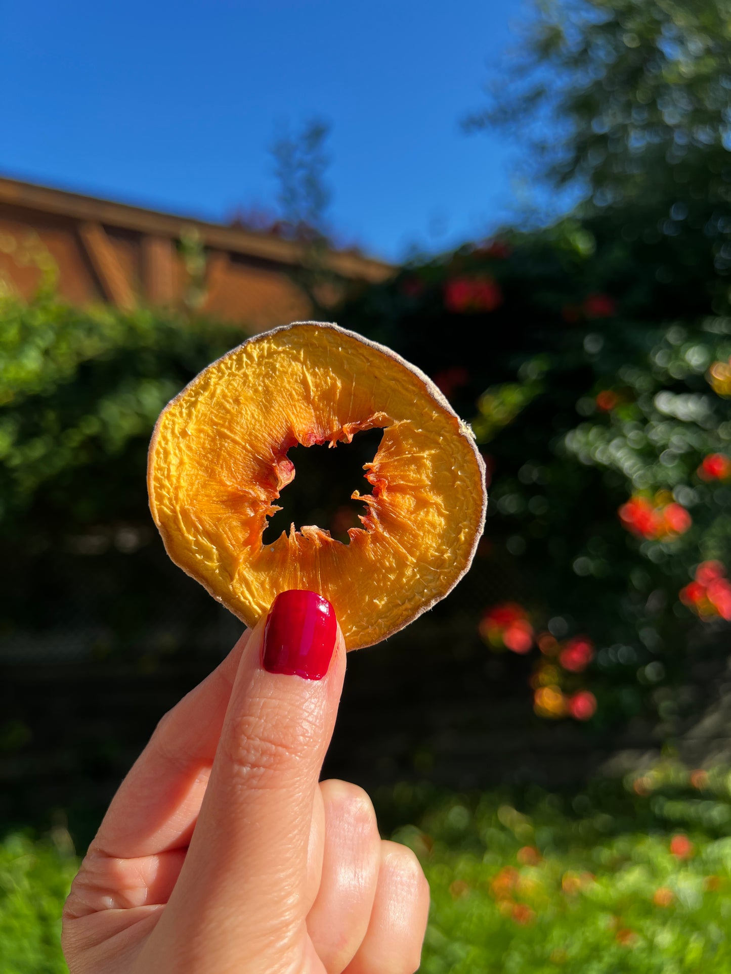Dried Peach Slices