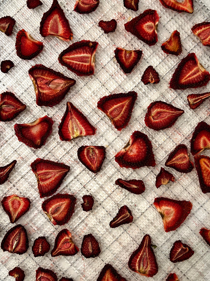 Organic Dried Strawberry Slices