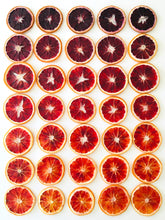 Load image into Gallery viewer, Organic Dried Blood Orange Slices
