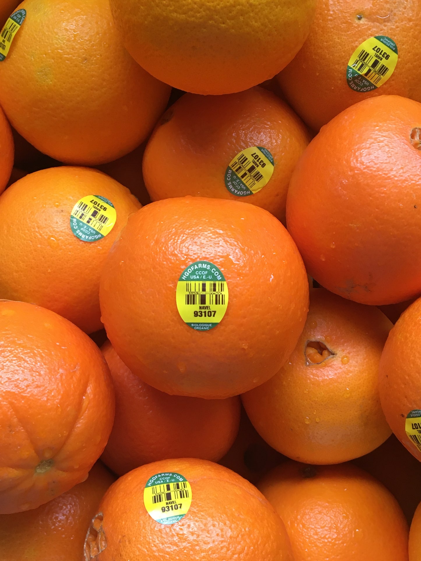 Organic Dried Orange Slices