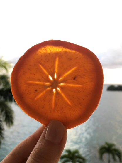 Organic Dried Persimmon Slices