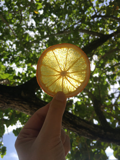 Organic Dried Orange Slices
