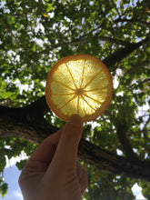 Load image into Gallery viewer, Organic Dried Orange Slices
