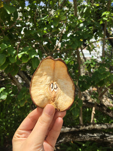 Organic Dried Pear Slices
