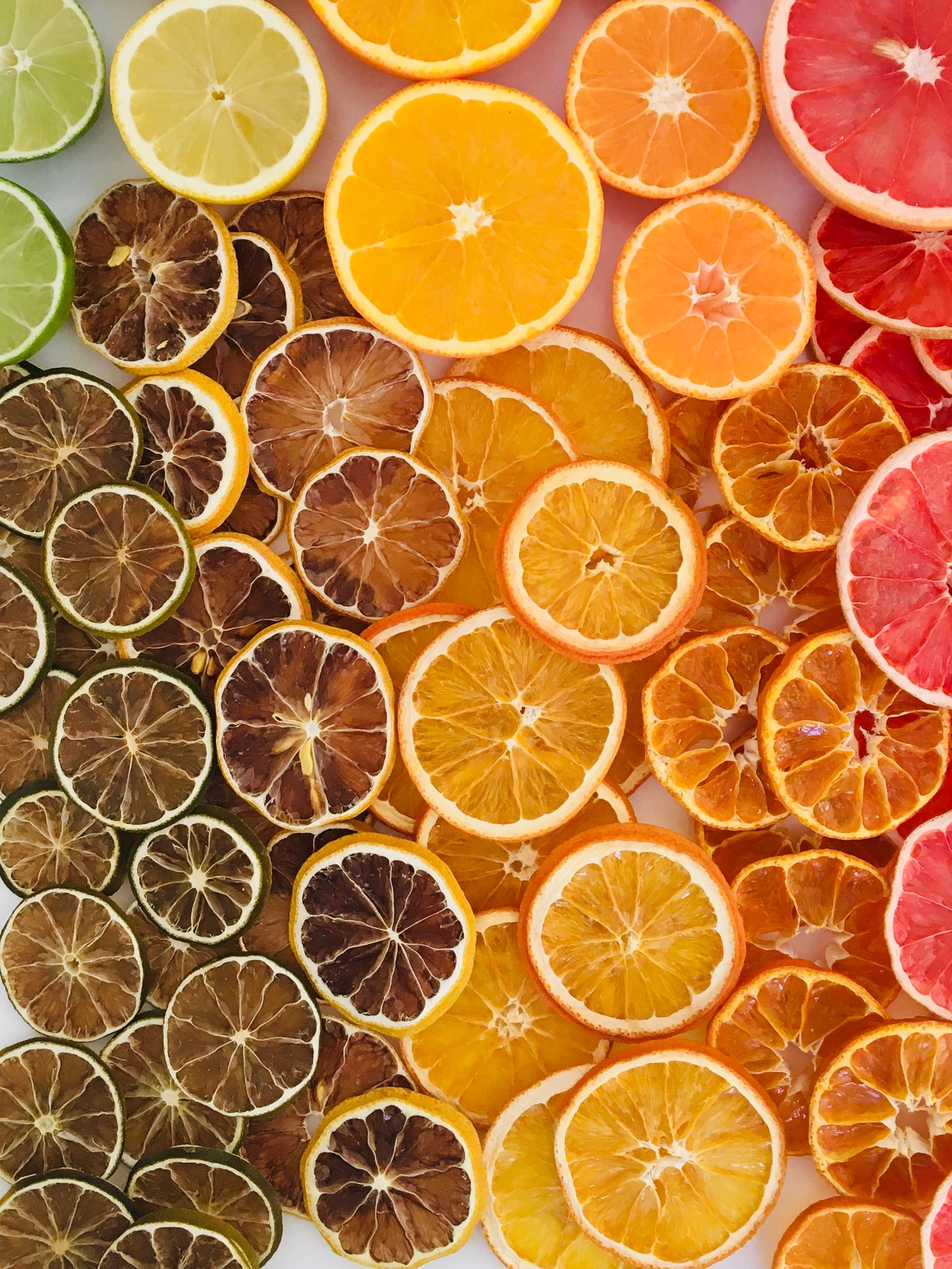 Mixed Citrus Slices - Five Citrus Blend