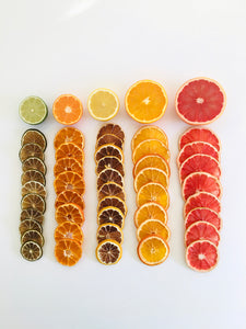 Mixed Citrus Slices - Five Citrus Blend